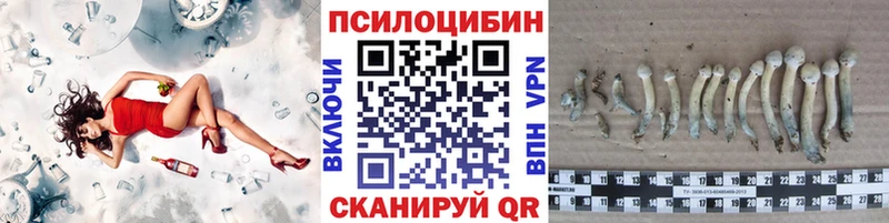 Галлюциногенные грибы Magic Shrooms darknet официальный сайт Бавлы